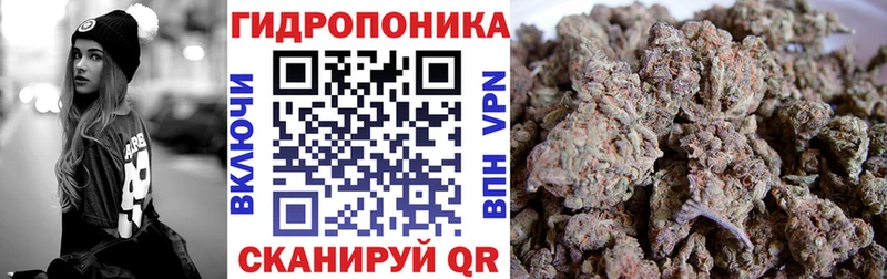 Канабис SATIVA & INDICA Галич